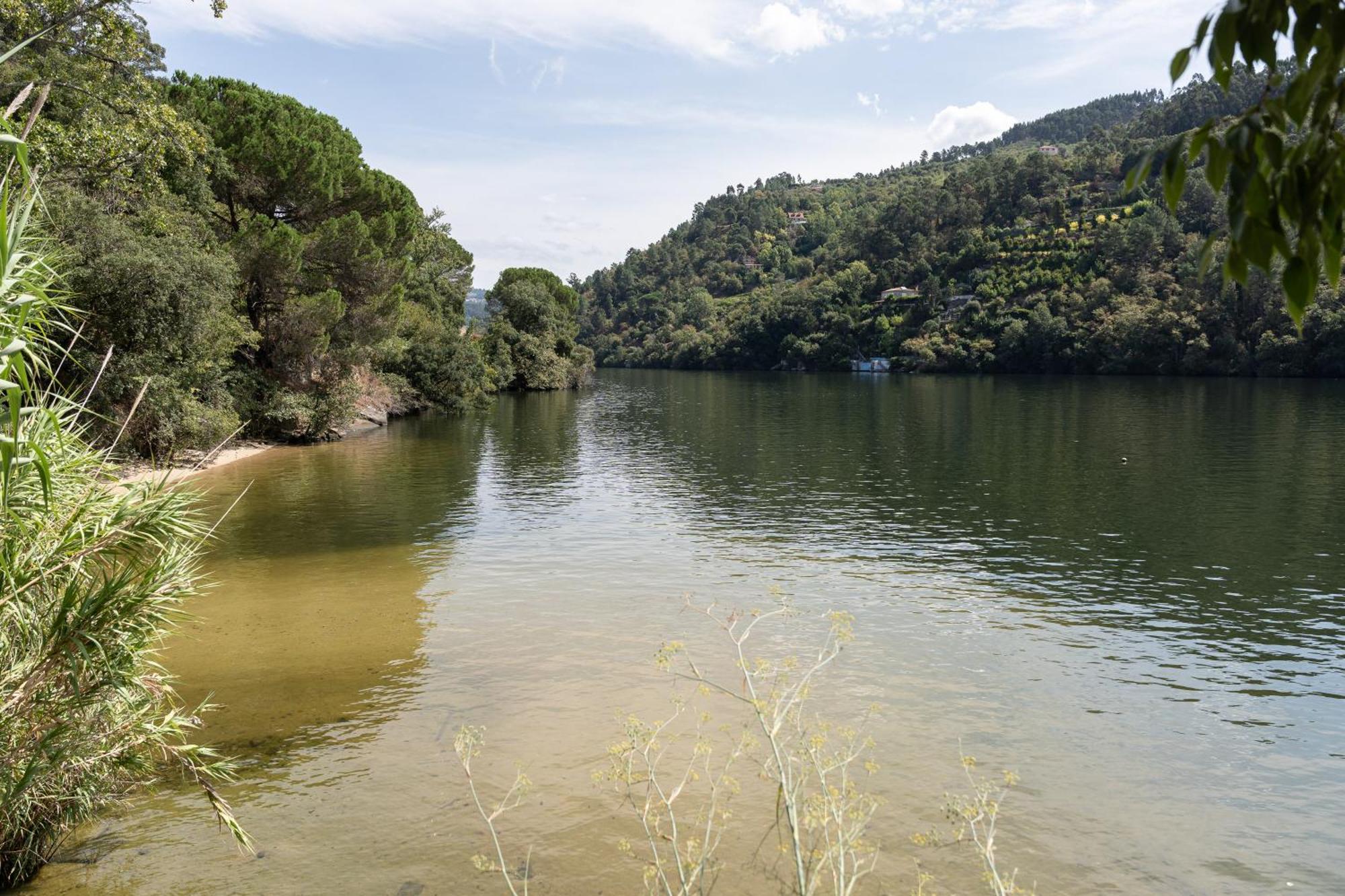 Farm stay Quinta Da Ribeirinha - Douro River *